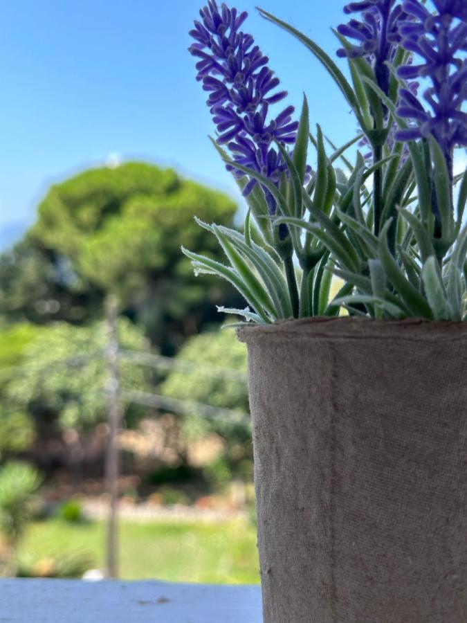 Olia Apartment Corfu  Kültér fotó