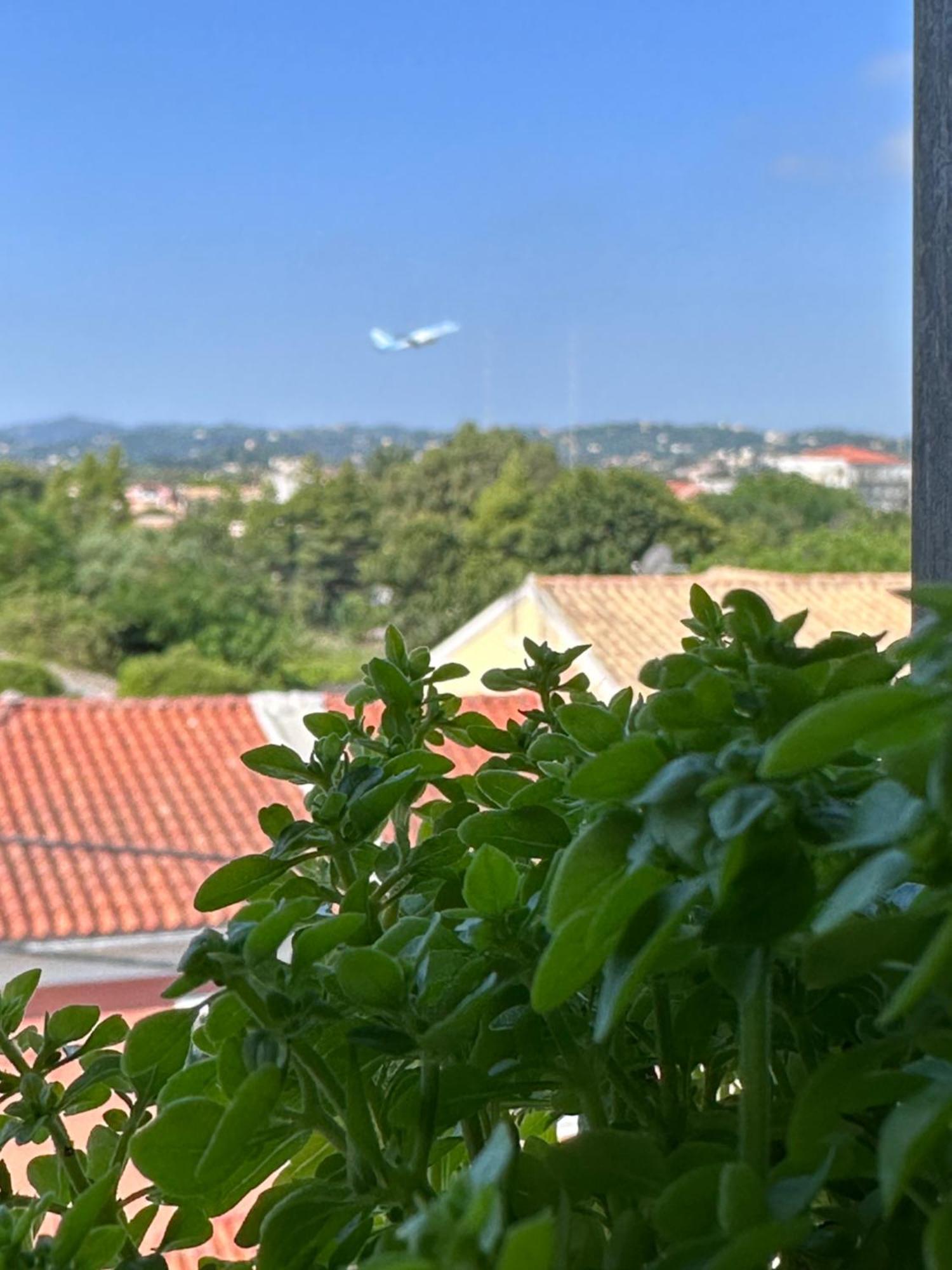 Olia Apartment Corfu  Kültér fotó